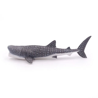 WHALE SHARK