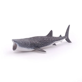 WHALE SHARK