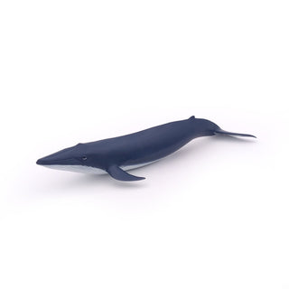 BLUE WHALE CALF