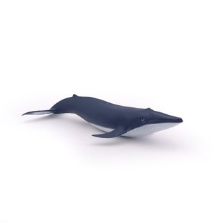 BLUE WHALE CALF
