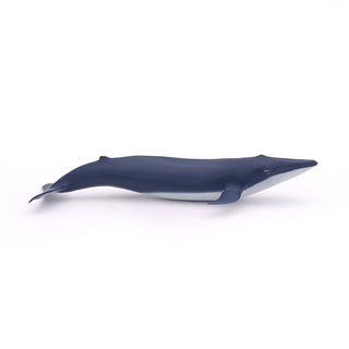 BLUE WHALE CALF