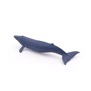 BLUE WHALE CALF