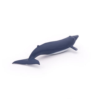 BLUE WHALE CALF