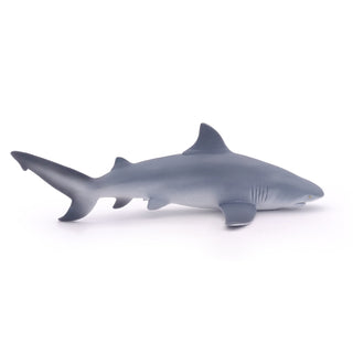 BULL SHARK