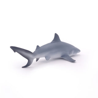 BULL SHARK