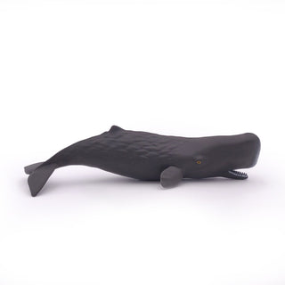 SPERM WHALE CALF