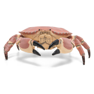 CRAB