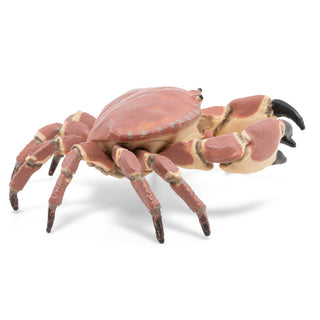 CRAB