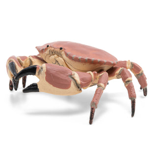CRAB