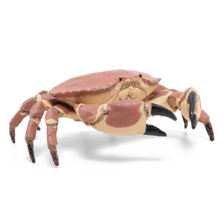 CRAB