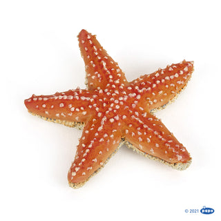 STARFISH