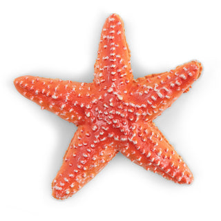 STARFISH