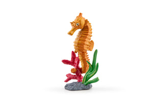 SEAHORSE