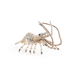 SHRIMP