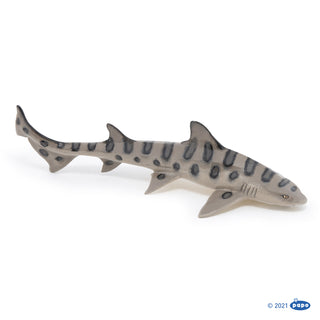 LEOPARD SHARK