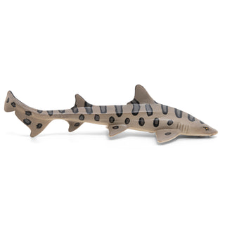 LEOPARD SHARK