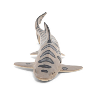 LEOPARD SHARK