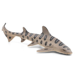 LEOPARD SHARK