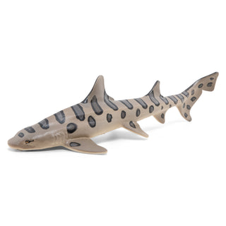 LEOPARD SHARK