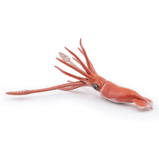 GIANT SQUID