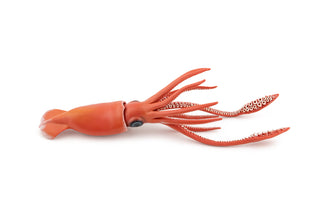 GIANT SQUID