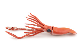 GIANT SQUID