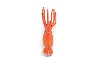 GIANT SQUID