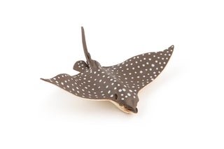 SPOTTED EAGLE RAY