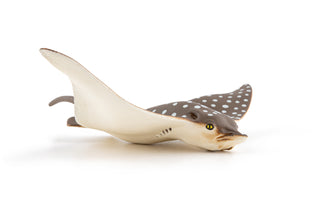 SPOTTED EAGLE RAY