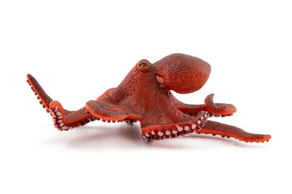 LITTLE OCTOPUS