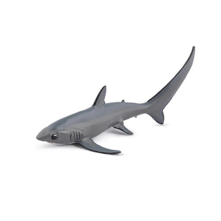 THRESHER SHARK