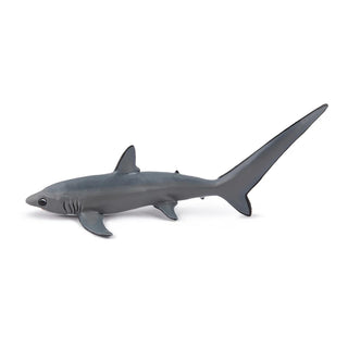 THRESHER SHARK