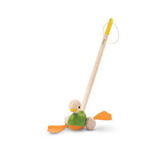 PUSH ALONG DUCK