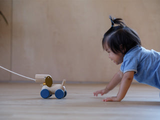 PUSH & PULL PUPPY