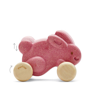 PUSH ALONG BUNNY