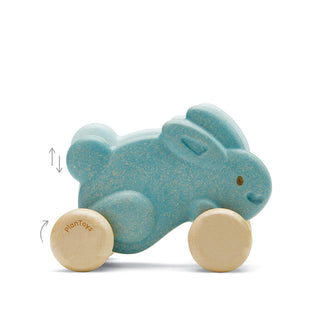 PUSH ALONG BUNNY