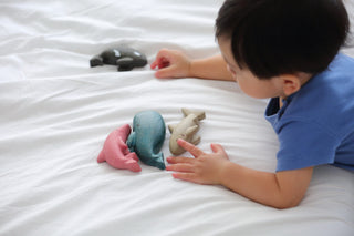 SEA LIFE SET