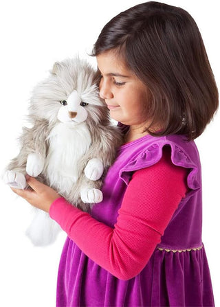 FLUFFY CAT