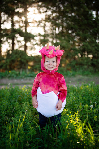 BABY DINO TRICERATOPS SET