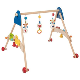 BABY GYM AND WALKING TRAIN