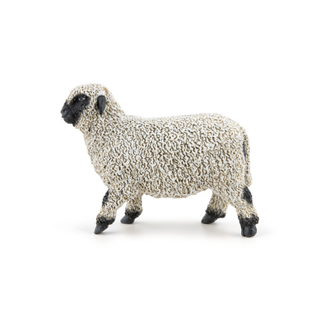 VALAIS BLACKNOSE SHEEP
