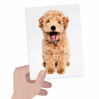 FLASHCARDS TACTILE MONTESSORI
