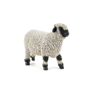 VALAIS BLACKNOSE SHEEP