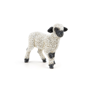 VALAIS BLACKNOSE LAMB