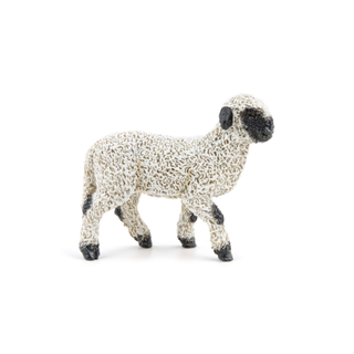 VALAIS BLACKNOSE LAMB