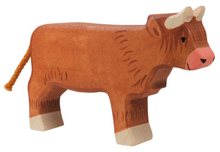 HIGHLAND COW