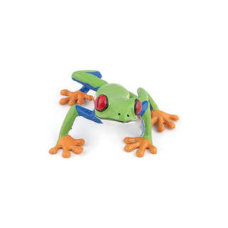 RED-EYED TREE FROG