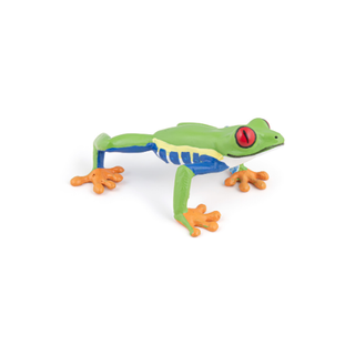 RED-EYED TREE FROG
