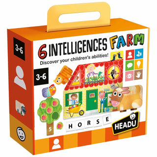6 INTELLIGENCES FARM