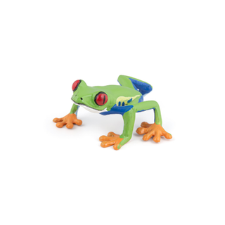 RED-EYED TREE FROG